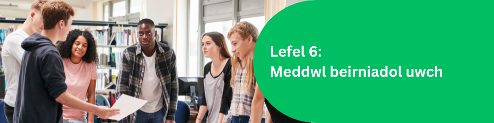 Lefel 6: Meddwl beirniadol uwch