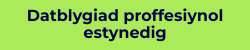 Datblygiad proffesiynol estynedig