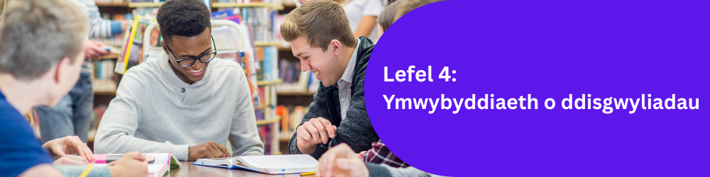 Lefel 4: Ymwybyddiaeth o ddisgwyliadau