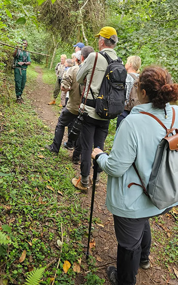 Photograph of a group of people on a walking tour of Bigodi Wetland Sanctuary.