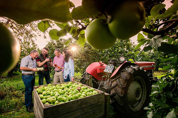This is a photograph of Longmeadow Cider, Craigavon Co. Armagh, Ireland.