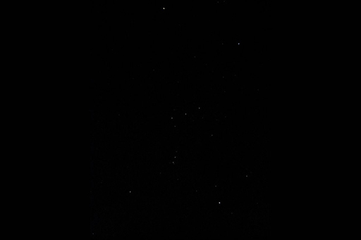 A photograph of the night sky, showing Orion.