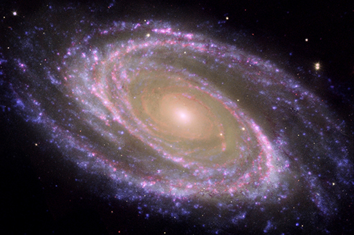 An image shows the spiral galaxy Messier 81, or M81.