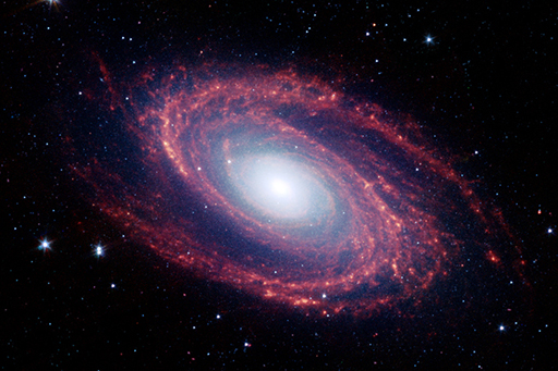 An image of the spiral galaxy Meddier 81.