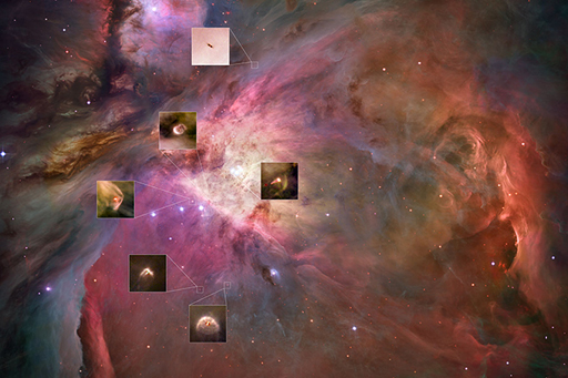 An image shows the protoplanetary discs in the Orion Nebula.