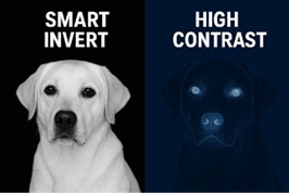 A split-screen comparison demonstrates accessibility visual modes using an image of a dog.