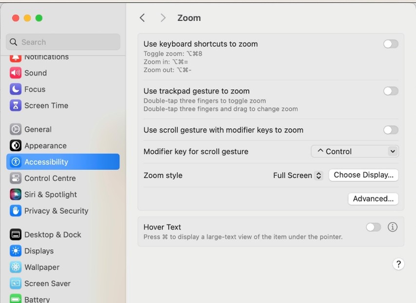 A screenshot showing the macOS System Settings interface focused on the Zoom accessibility menu. 