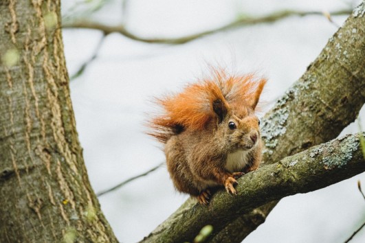 Wild about wildlife: Explore the animal kingdom
