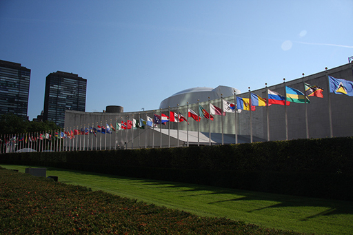 The image is of different countries flags outside the general UN building.