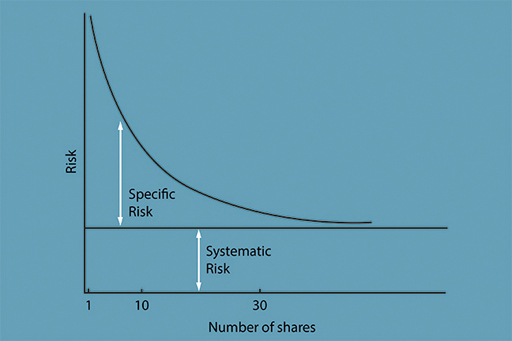 A graph of the risk in a portfolio plotted against the number of shares contained therein.