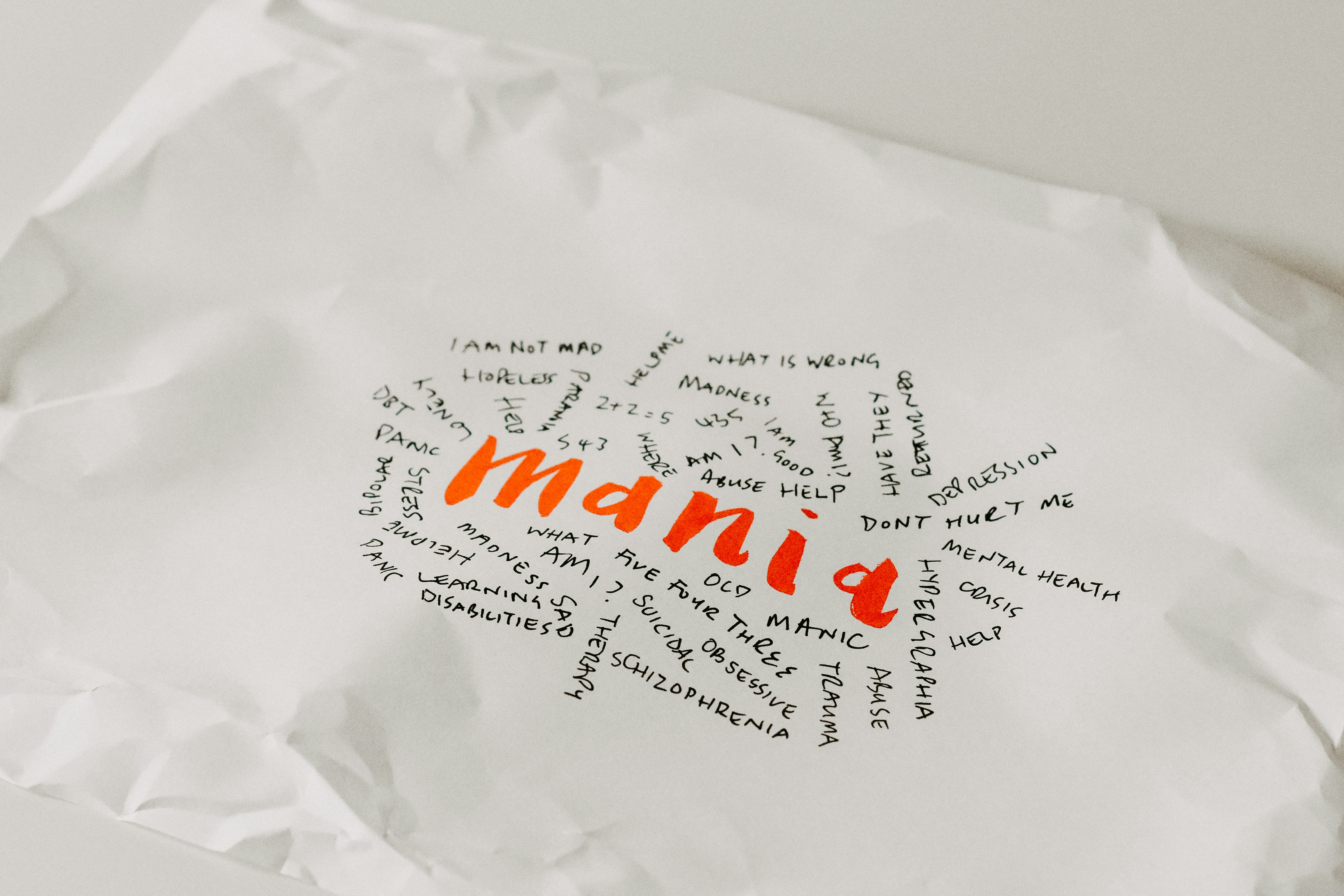 paper with writing saying 'mania' 'I am not mad' 'depression' 'abuse'