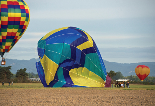 A photograph of a hot air balloon which has crash landed.
