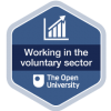 Working in the voluntary sector