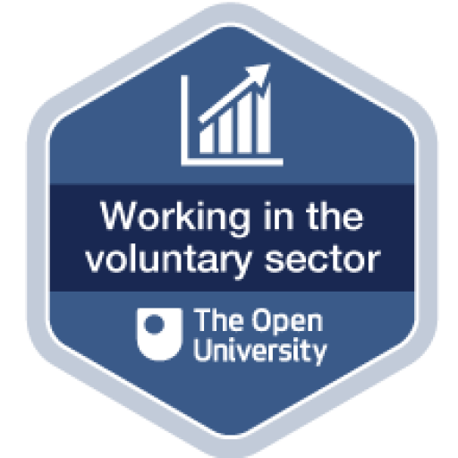 Working in the voluntary sector