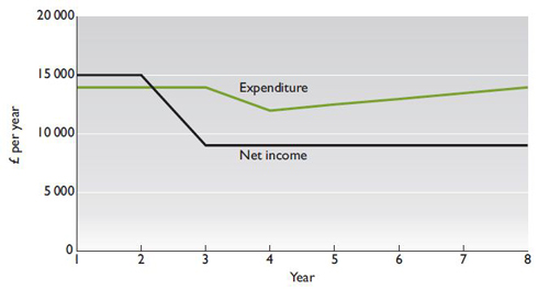Syme household net income and expenditure over time