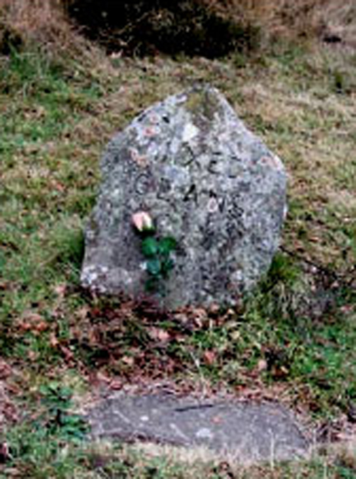 Mixed clans gravestone, Culloden battlefield