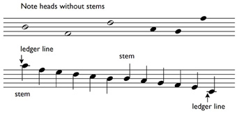 Note heads, stems and ledger line labelled on a 5-line staff