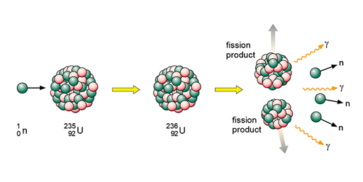 This image shows the particles and types of radiation involved in fission