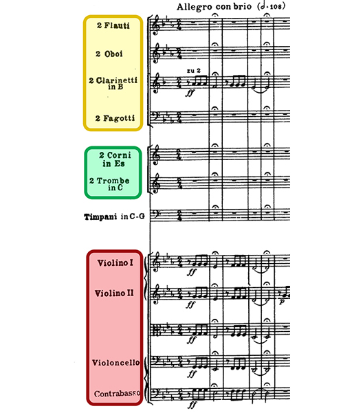 HandDrawn Orchestral Sound Symbols Illustrated In Guitar Conservatory Music Notes A Visual Guide To Classical Captivating Image359583519