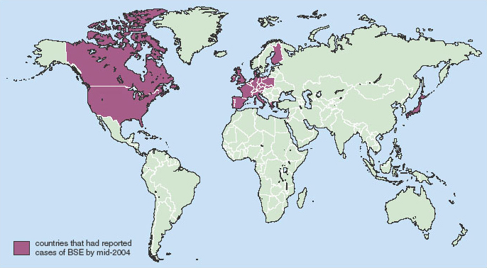 BSE and vCJD: their biology and management - OpenLearn - Open University