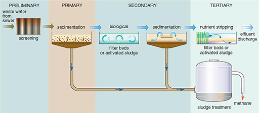 filtration in water treatment