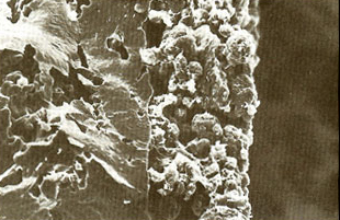 The three-way catalytic converter: View as single page