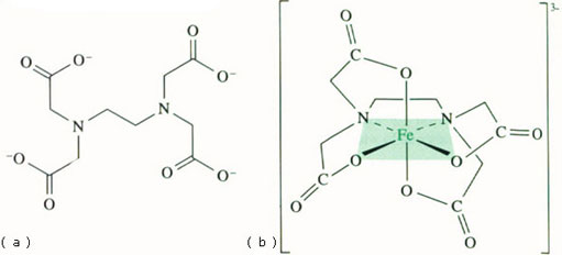 Figure 2 (a) The edta4−anion; (b) its coordination mode to iron.