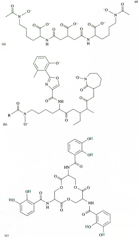 Figure 4 Structures of three siderophores: (a) aerobatin; (b) mycobatin; (c) enterobactin; acidic hydrogens are printed in green