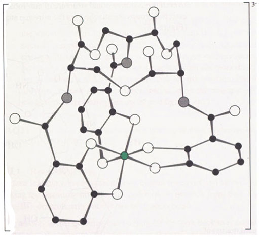 Figure 6 Three-dimensional structure of iron–enterobactin complex; the hydrogen atoms have been omitted for clarity.