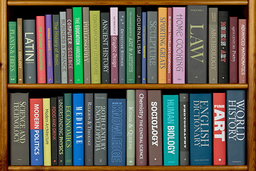 An image of two shelves on a bookcase, both of which are full of books.