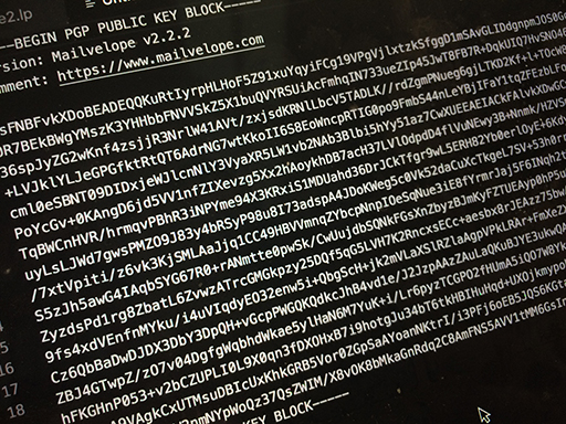 Zoomed in shot of a computer screen with what looks like encrypted text.