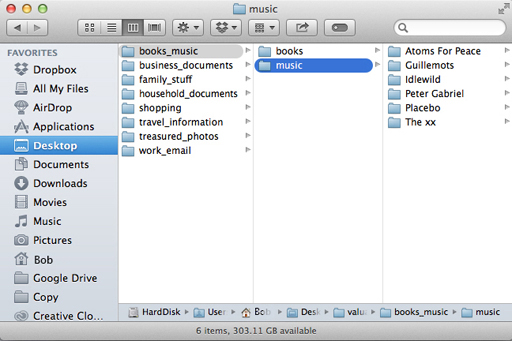 A screenshot showing the contents of a computer desktop.
