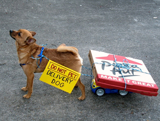 An image of a medium-sized brown dog pulling a small cart.