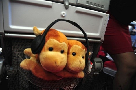 An image of two toy monkeys inside the pocket on the back of an aeroplane seat.