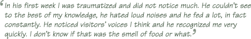 ‘In his first week I was traumatized and did not notice much. He couldn't see to the best of my knowledge, he hated loud noises and he fed a lot, in fact constantly. He noticed visitors’ voices I think and he recognized me very quickly. I don't know if that was the smell of food or what.’