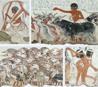 Details from the Nebamun paintings