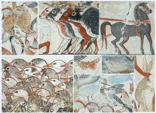 Animals depicted within the fragments