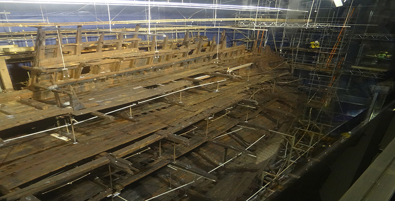 Analytical science: Secrets of the Mary Rose
