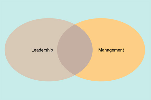 The relationship between the activities of leadership and management