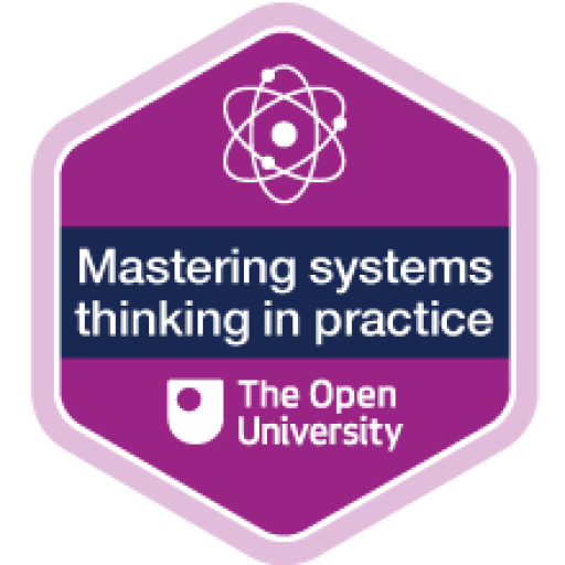 Mastering systems thinking in practice
