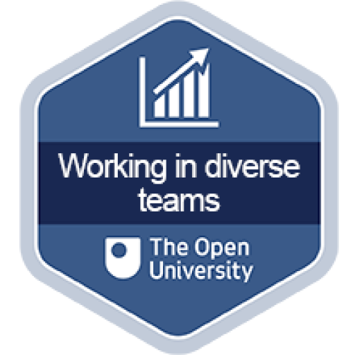 Working in diverse teams