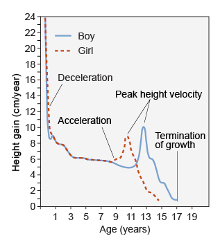This graph plots the height gain in centimetres per year against age for boys and girls.