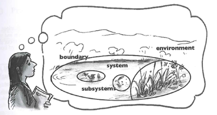 A cartoon of a woman with a thought bubble showing an ecosystem.