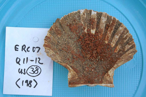 A scallop shell containing the remnants of make-up.