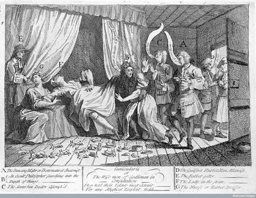 Illustration of Mary Toft duping several distinguished surgeons, physicians and male-midwives into believing that she is giving birth to a litter of rabbits.