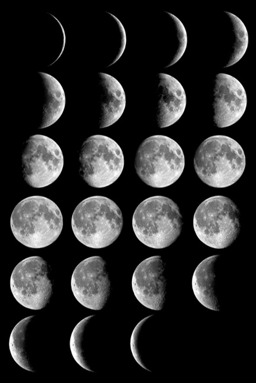 Composite of photographs, taken over a lunar month, shows the changing shape, or phase, of the Moon