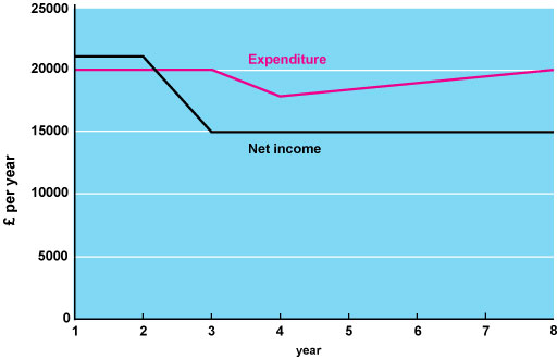 A graph that shows a comparison between expenditure and net income.
