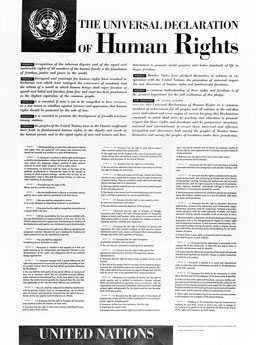A picture of the Universal Declaration of Human Rights.