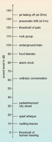 Some common sounds on the decibel scale of sound level. Range shown is 0 to 140.