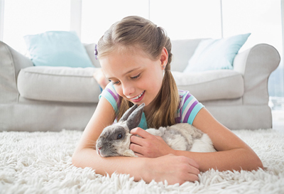 A little girl with a pet rabbit